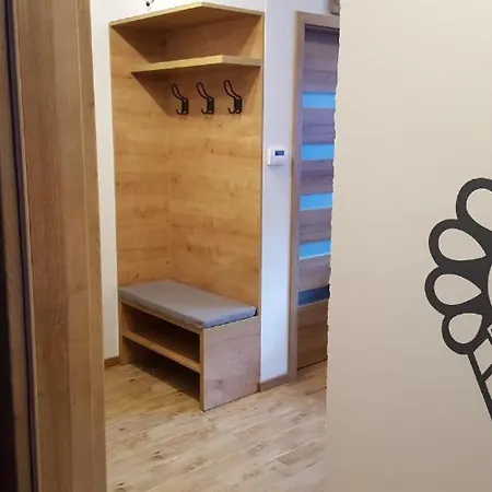Apartament Hayos Free Sauna & Jacuzzi * Zakopane